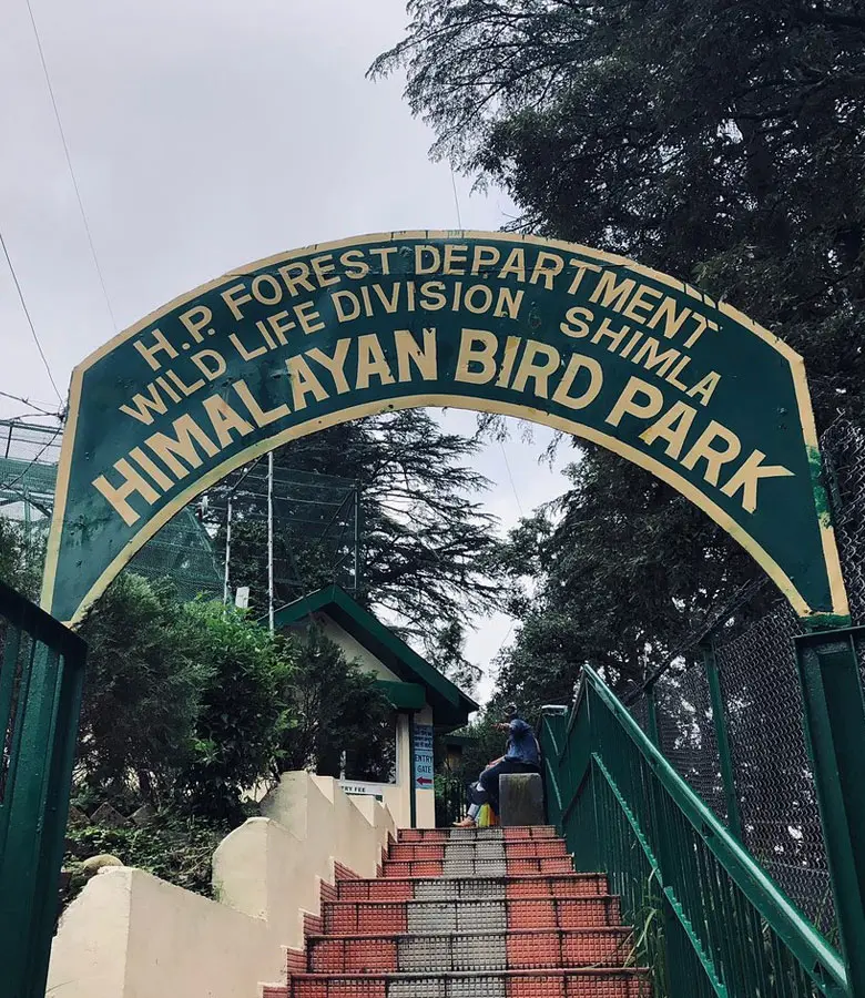 Learn more about the birds found in Himachal by visiting the Himalayan Bird Park in Chaura Maidan, Shimla