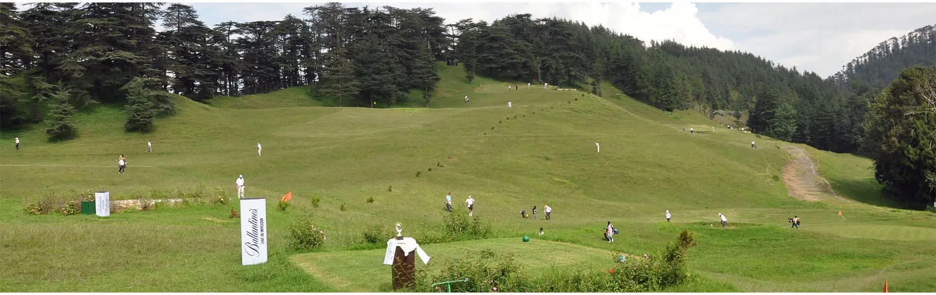 The Naldehra Golf Course and the terms of using the Chalets website