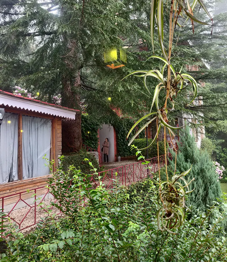 Witness the true essence of eco-tourism by staying at the Chalets Naldehra