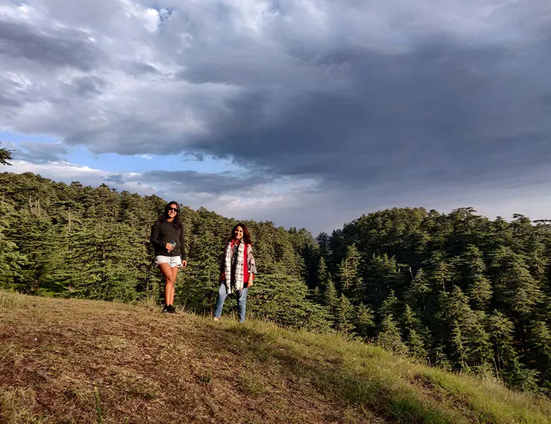Connect with nature by indulging in a forest walk in Naldehra
